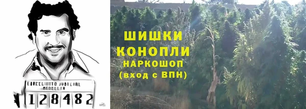 тгк Белокуриха