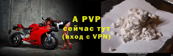 тгк Белокуриха