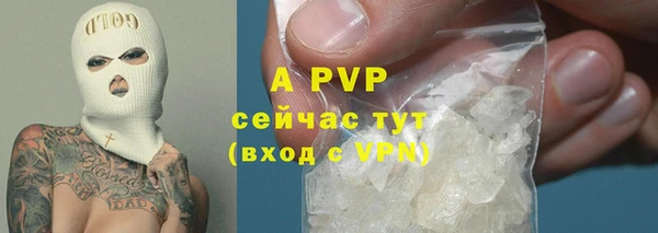 тгк Белокуриха