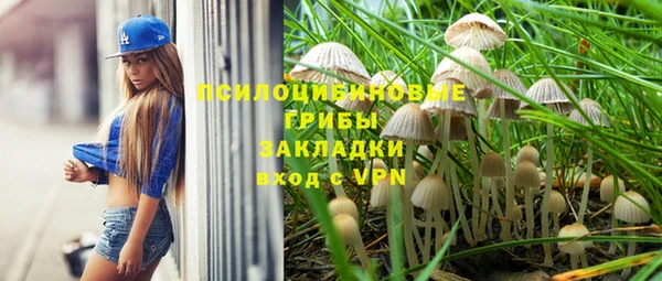 твердый Богородск