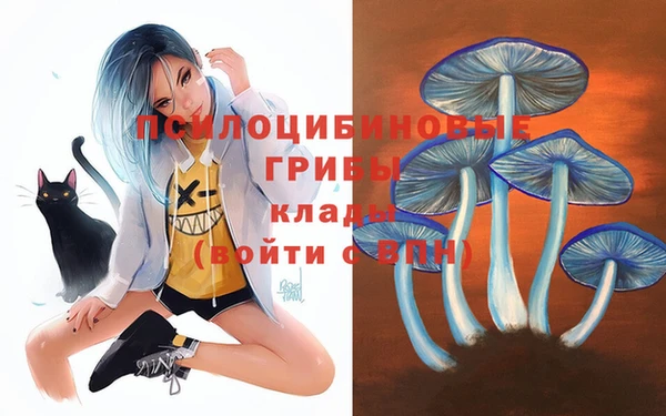 тгк Белокуриха
